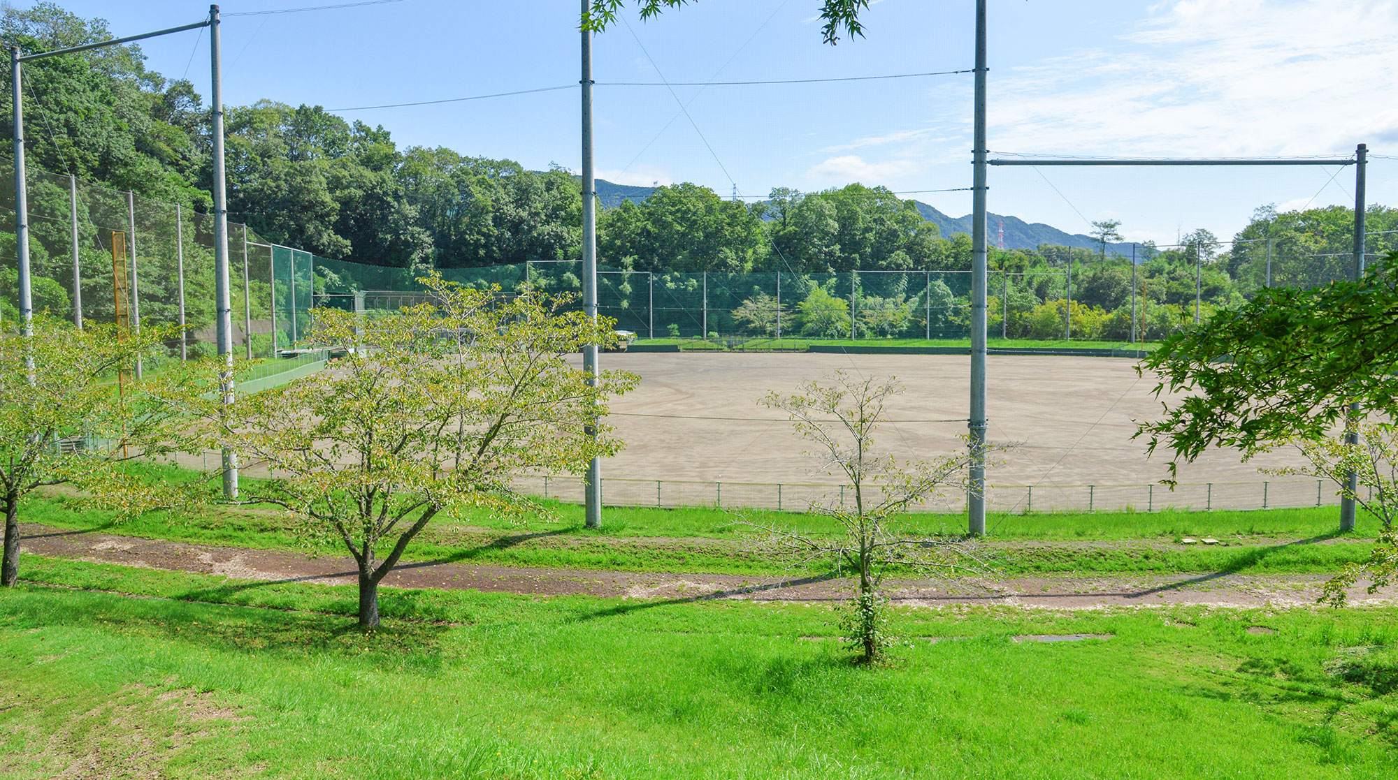 野球場